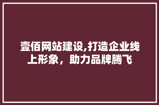 壹佰网站建设,打造企业线上形象，助力品牌腾飞