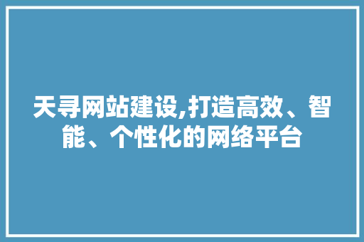 天寻网站建设,打造高效、智能、个性化的网络平台