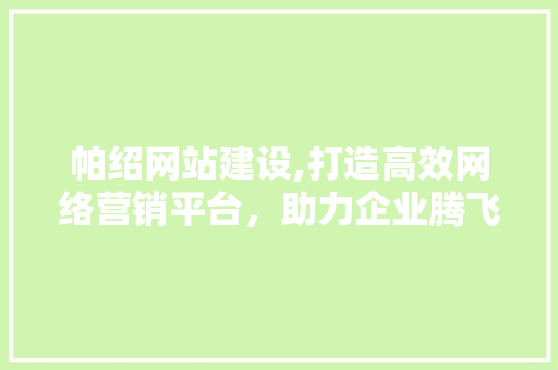 帕绍网站建设,打造高效网络营销平台，助力企业腾飞
