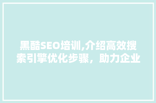 黑酷SEO培训,介绍高效搜索引擎优化步骤，助力企业腾飞