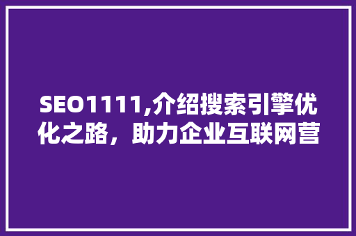 SEO1111,介绍搜索引擎优化之路，助力企业互联网营销