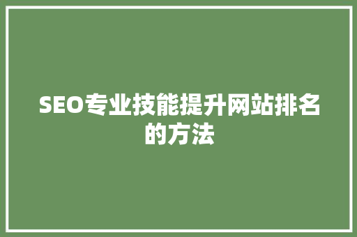 SEO专业技能提升网站排名的方法