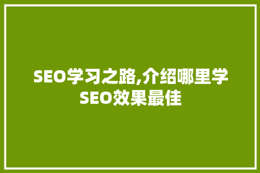 SEO学习之路,介绍哪里学SEO效果最佳