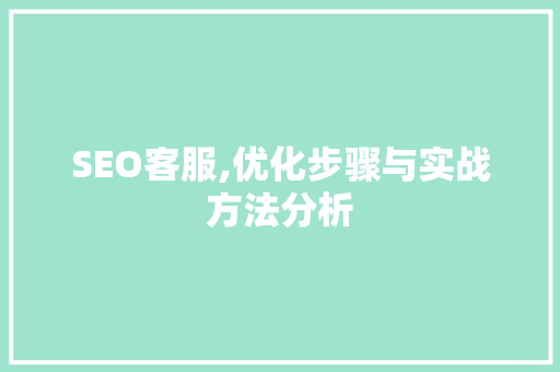 SEO客服,优化步骤与实战方法分析