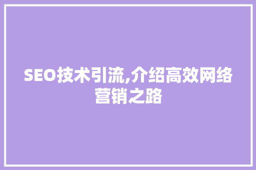 SEO技术引流,介绍高效网络营销之路