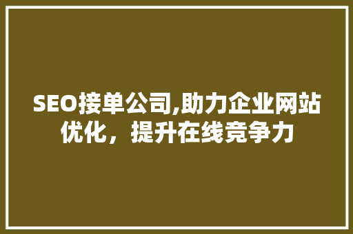 SEO接单公司,助力企业网站优化，提升在线竞争力