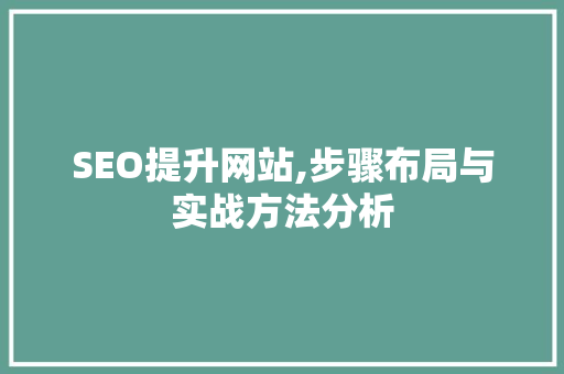 SEO提升网站,步骤布局与实战方法分析