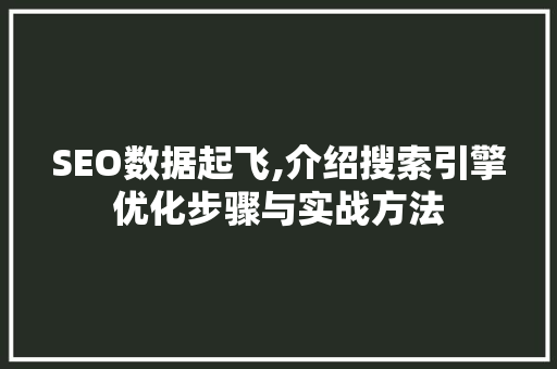 SEO数据起飞,介绍搜索引擎优化步骤与实战方法