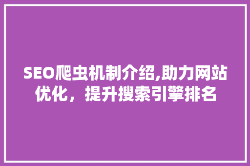 SEO爬虫机制介绍,助力网站优化，提升搜索引擎排名