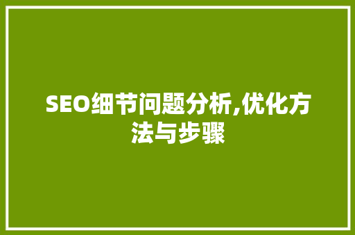 SEO细节问题分析,优化方法与步骤