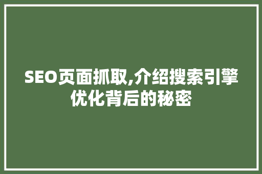 SEO页面抓取,介绍搜索引擎优化背后的秘密