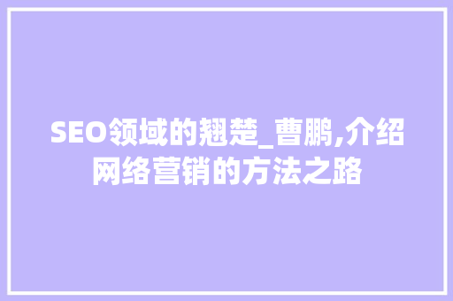 SEO领域的翘楚_曹鹏,介绍网络营销的方法之路