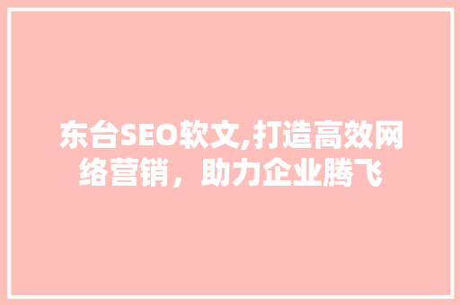 东台SEO软文,打造高效网络营销，助力企业腾飞