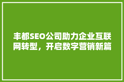 丰都SEO公司助力企业互联网转型，开启数字营销新篇章