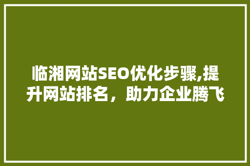 临湘网站SEO优化步骤,提升网站排名，助力企业腾飞
