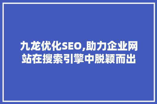 九龙优化SEO,助力企业网站在搜索引擎中脱颖而出