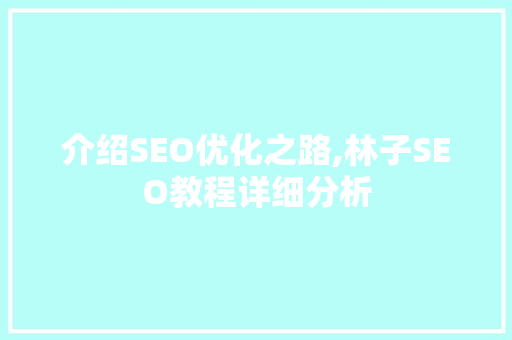 介绍SEO优化之路,林子SEO教程详细分析