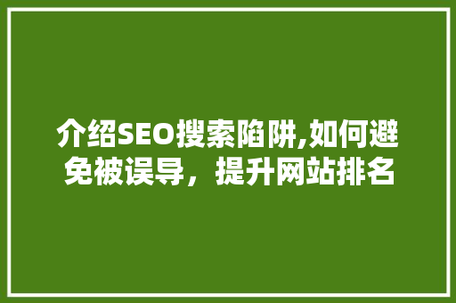 介绍SEO搜索陷阱,如何避免被误导，提升网站排名
