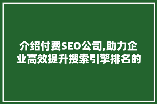 介绍付费SEO公司,助力企业高效提升搜索引擎排名的秘密武器