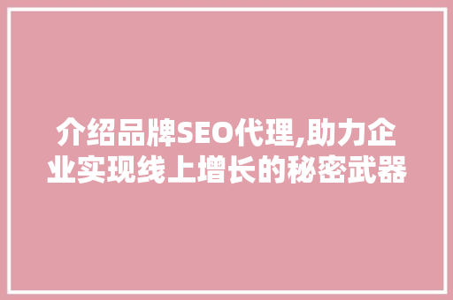介绍品牌SEO代理,助力企业实现线上增长的秘密武器