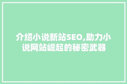 介绍小说新站SEO,助力小说网站崛起的秘密武器