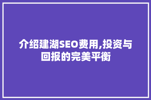 介绍建湖SEO费用,投资与回报的完美平衡