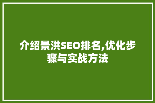 介绍景洪SEO排名,优化步骤与实战方法