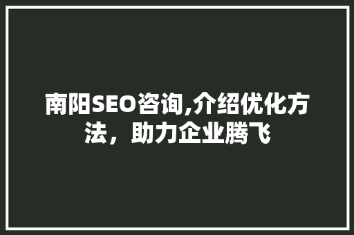 南阳SEO咨询,介绍优化方法，助力企业腾飞