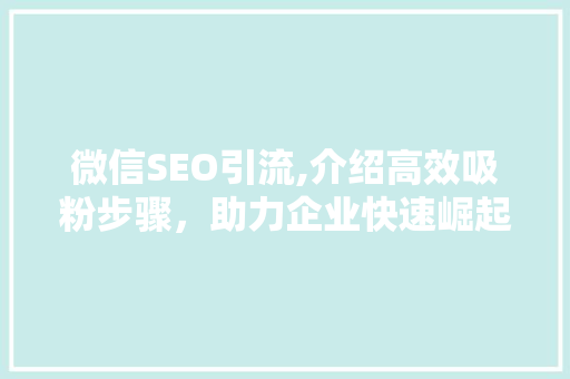 微信SEO引流,介绍高效吸粉步骤，助力企业快速崛起