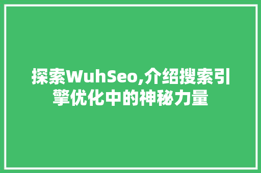 探索WuhSeo,介绍搜索引擎优化中的神秘力量