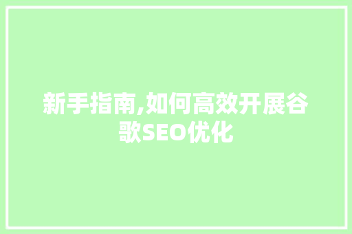新手指南,如何高效开展谷歌SEO优化
