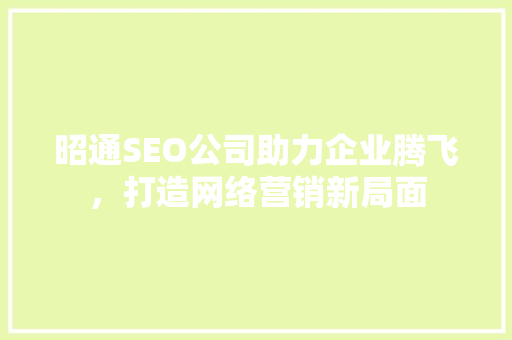 昭通SEO公司助力企业腾飞，打造网络营销新局面