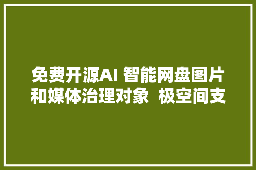 免费开源AI 智能网盘图片和媒体治理对象  极空间支配PicHome