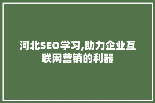 河北SEO学习,助力企业互联网营销的利器