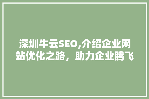 深圳牛云SEO,介绍企业网站优化之路，助力企业腾飞