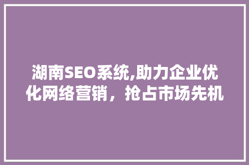 湖南SEO系统,助力企业优化网络营销，抢占市场先机