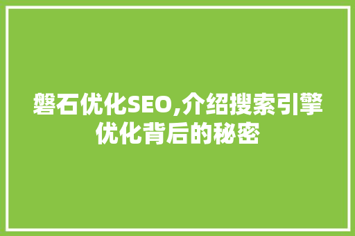 磐石优化SEO,介绍搜索引擎优化背后的秘密