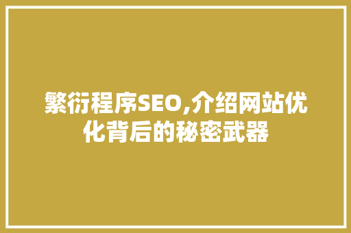 繁衍程序SEO,介绍网站优化背后的秘密武器