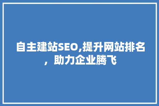 自主建站SEO,提升网站排名，助力企业腾飞