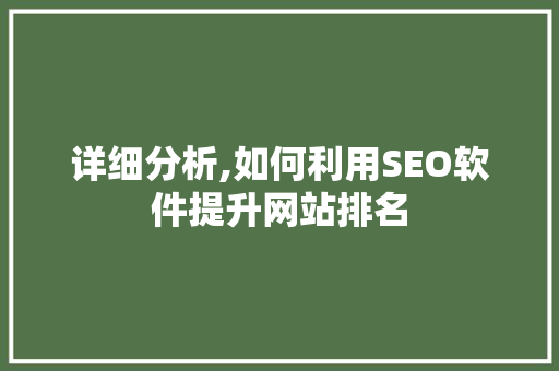 详细分析,如何利用SEO软件提升网站排名