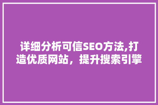 详细分析可信SEO方法,打造优质网站，提升搜索引擎排名