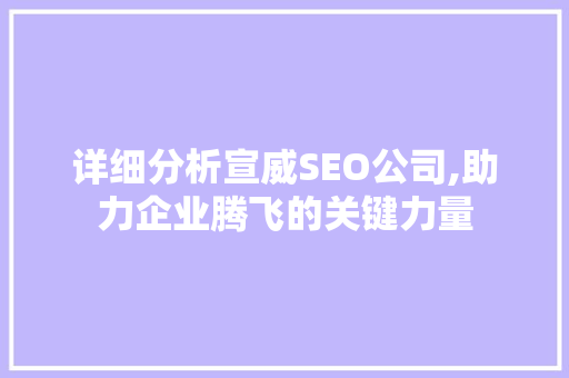 详细分析宣威SEO公司,助力企业腾飞的关键力量