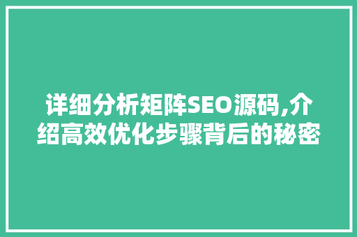 详细分析矩阵SEO源码,介绍高效优化步骤背后的秘密
