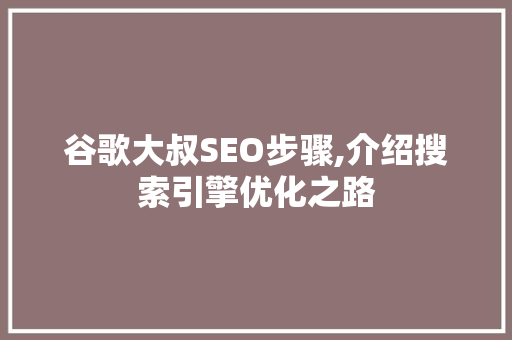 谷歌大叔SEO步骤,介绍搜索引擎优化之路