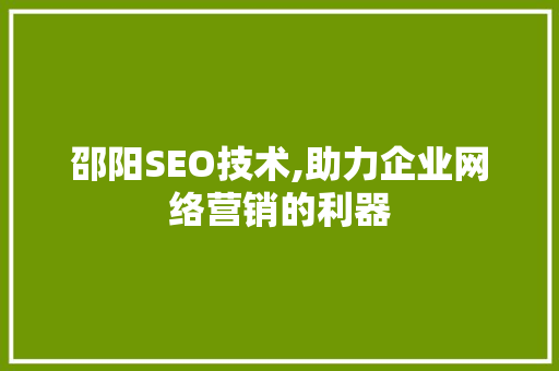 邵阳SEO技术,助力企业网络营销的利器