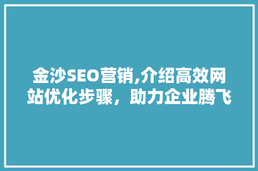 金沙SEO营销,介绍高效网站优化步骤，助力企业腾飞