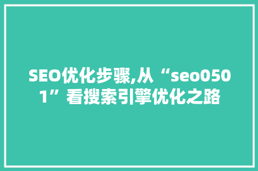 SEO优化步骤,从“seo0501”看搜索引擎优化之路