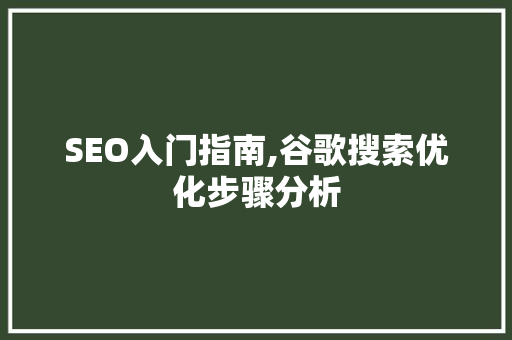 SEO入门指南,谷歌搜索优化步骤分析