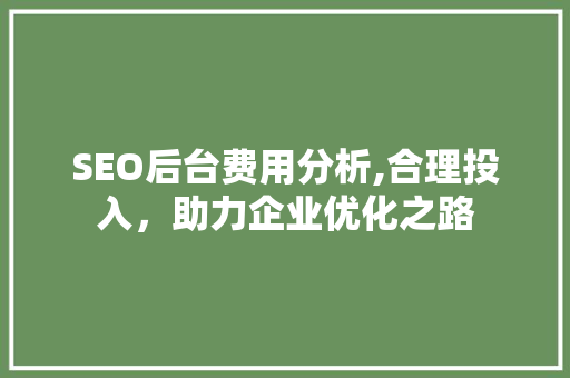 SEO后台费用分析,合理投入，助力企业优化之路