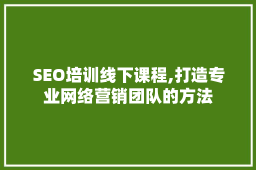 SEO培训线下课程,打造专业网络营销团队的方法